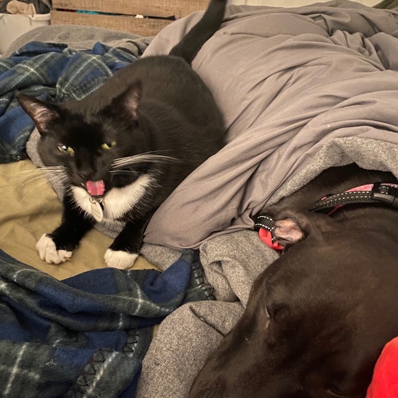 Meet your Posher, Grace - Picture 7 of 8